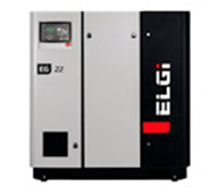Distributori di Compressori Elettrici ELGI in Europa - Rotair Spa